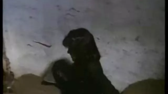 XXX bez rejestracji Australia piękna zarosniete cipki polek dziewczyna