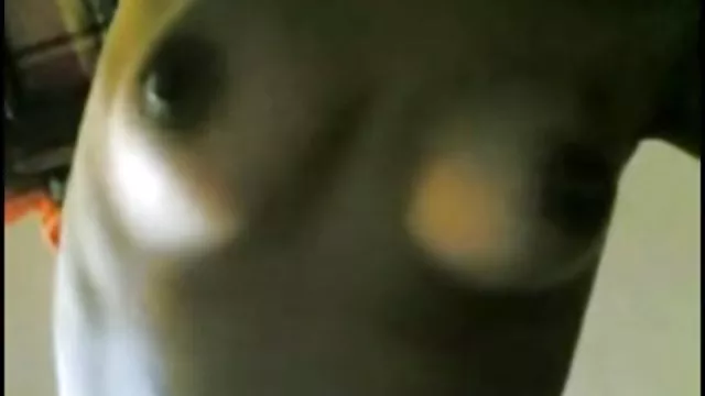 XXX bez rejestracji Olej zarosniete pizdy zdjecia